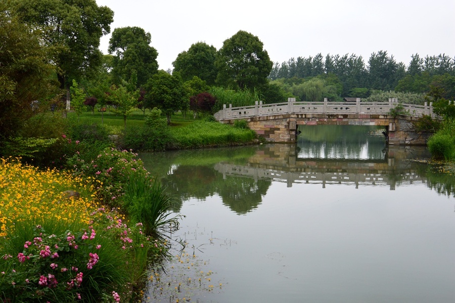 (纪实实拍组图)昆山花桥天福国家生态湿地公园