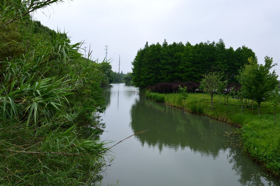 (纪实实拍组图)昆山花桥天福国家生态湿地公园