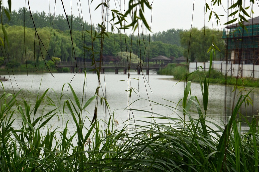 【: (纪实实拍组图)昆山花桥天福国家生态湿地