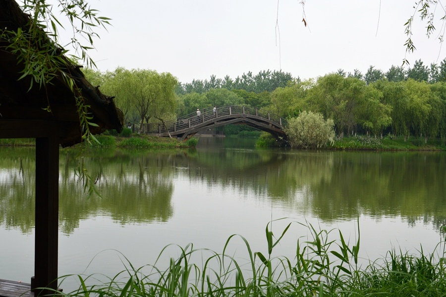 【: (纪实实拍组图)昆山花桥天福国家生态湿地