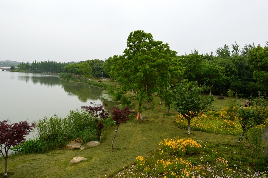 (纪实实拍组图)昆山花桥天福国家生态湿地公园