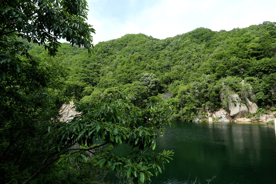 山清水秀木札岭