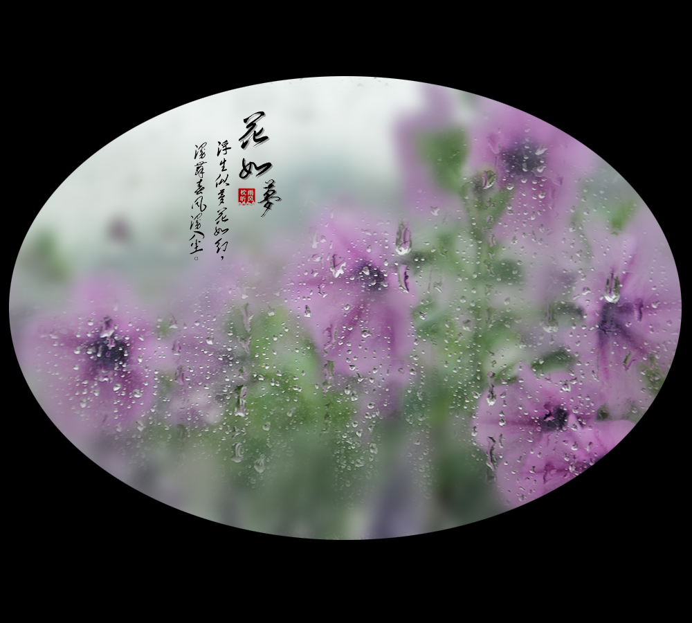 【春天的颜色】花如梦