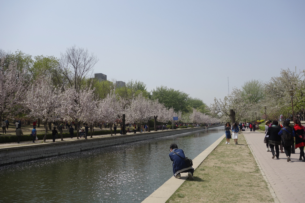 重游北京海棠花溪公园