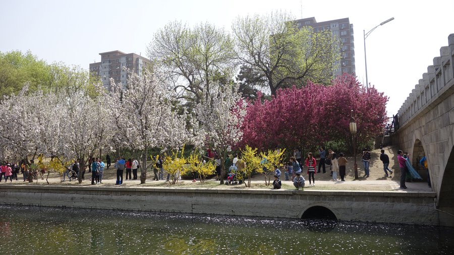 重游北京海棠花溪公园