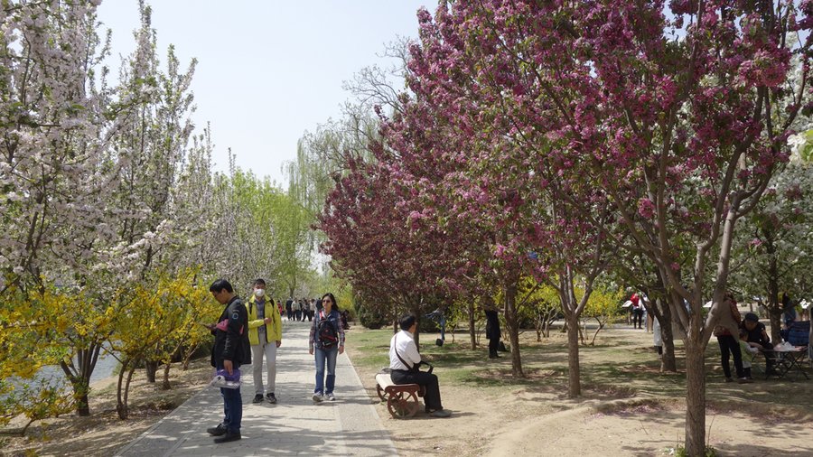 重游北京海棠花溪公园