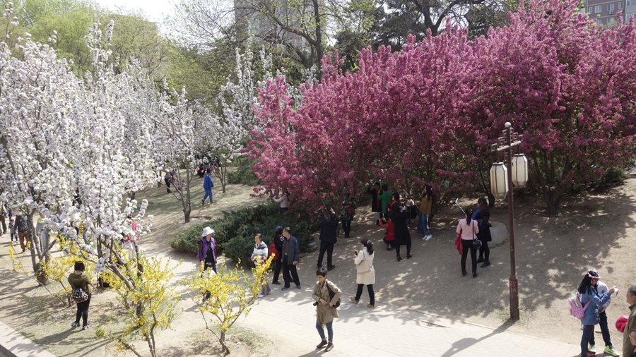 重游北京海棠花溪公园