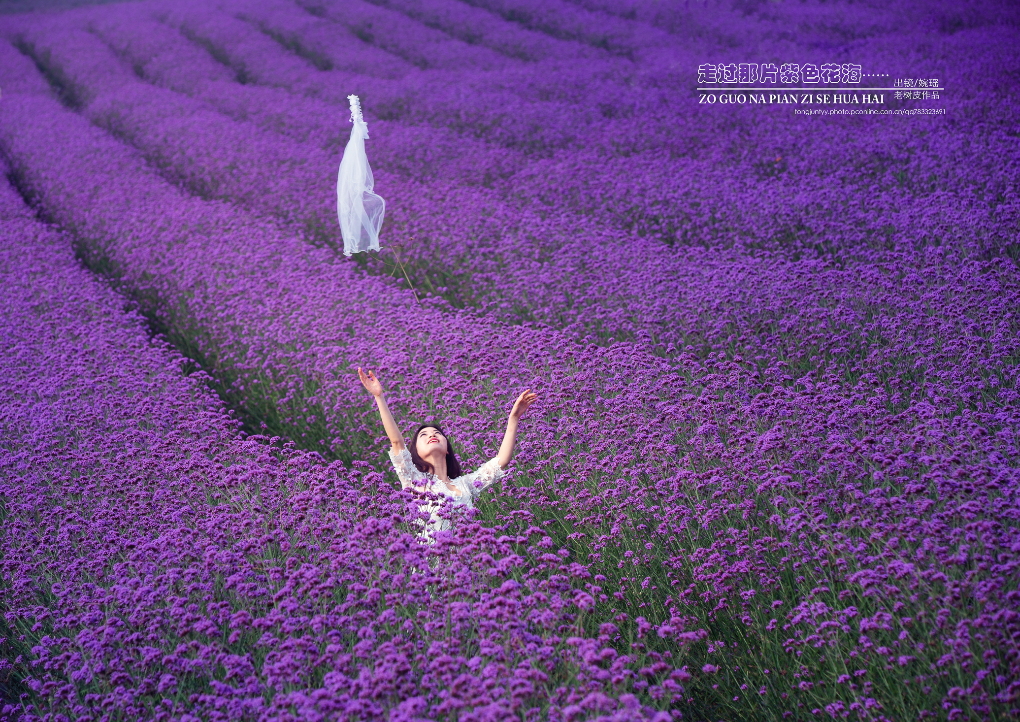 走过那片紫色花海