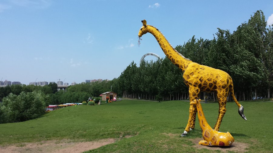 沈阳风光
