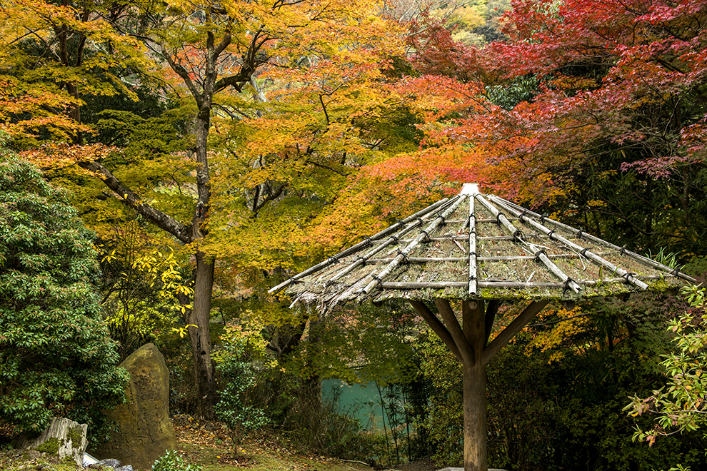 16日本之秋-京都名胜岚山