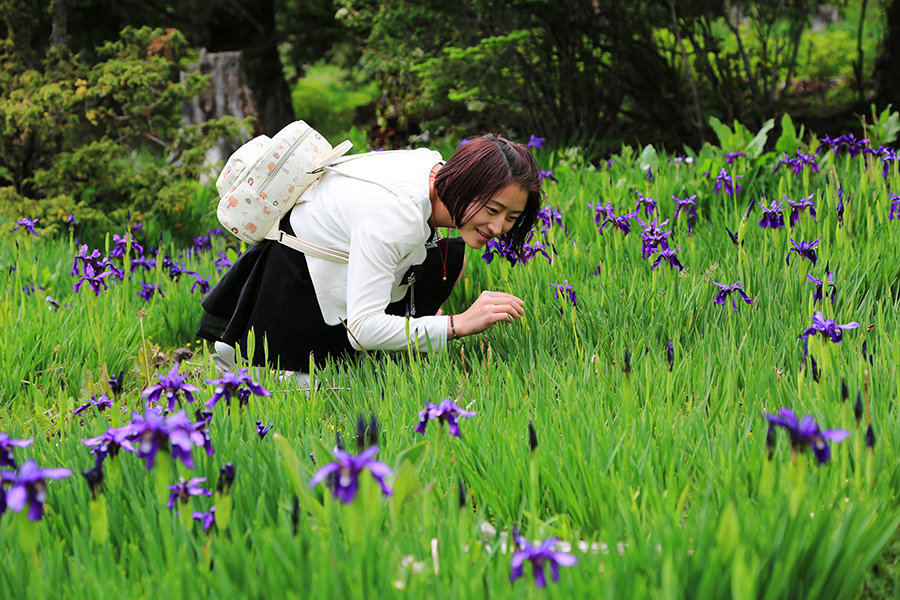 【比日神山上的赏花姑娘摄影图片】林芝比日神