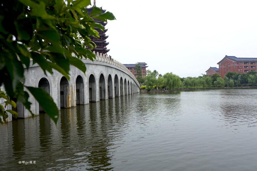 【南方医科大学·顺德摄影图片】生活摄影_太平洋电脑网摄影部落