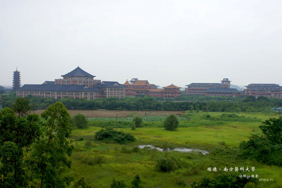 【南方医科大学·顺德摄影图片】生活摄影_太平洋电脑网摄影部落