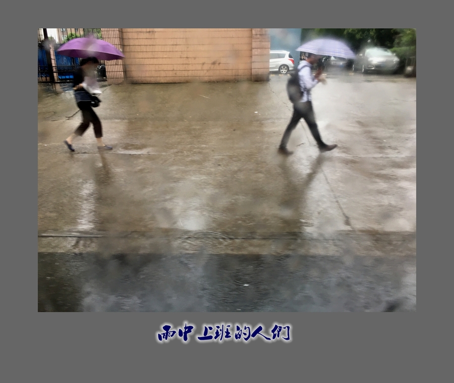 【雨中上班的人们摄影图片】公交车纪实摄影