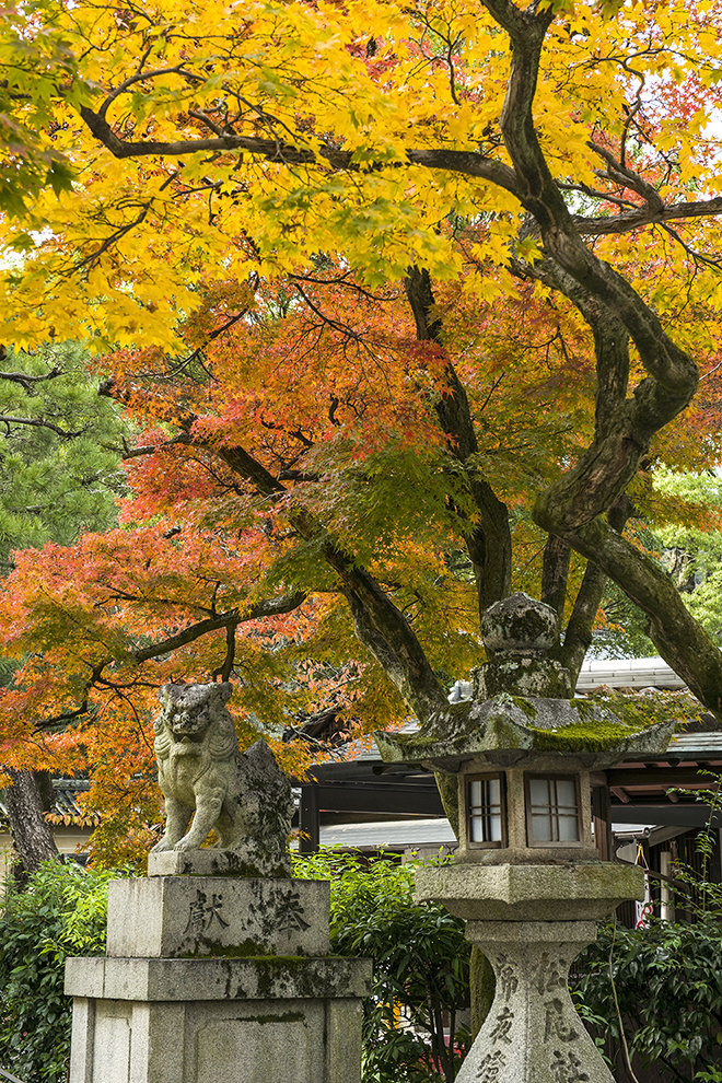 16日本之秋-京都岚山天龙寺