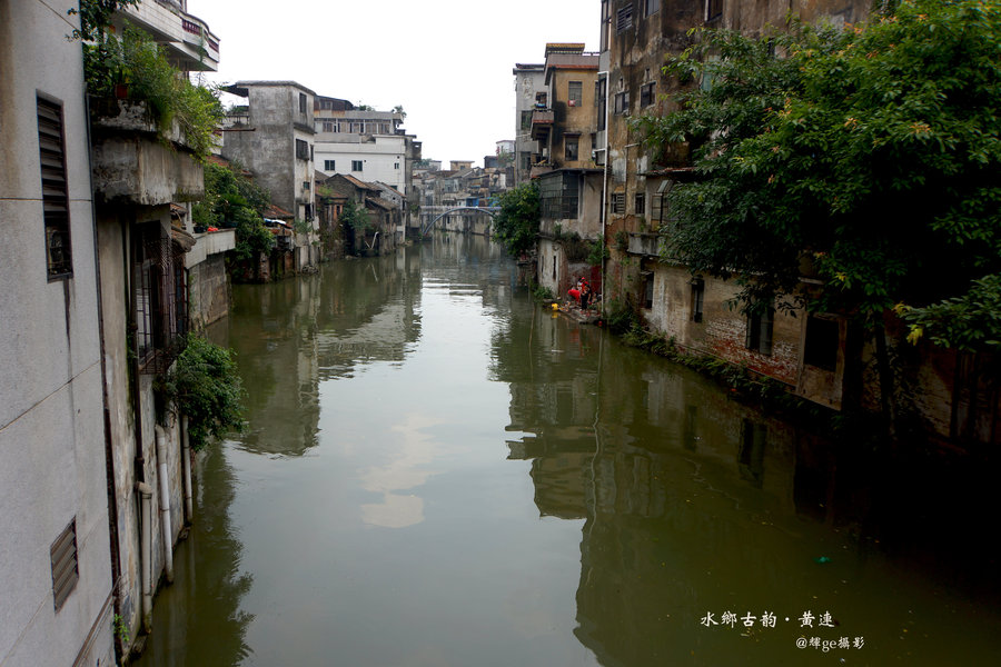 【水乡古韵·黄连摄影图片】顺德黄连生活摄影_太平洋