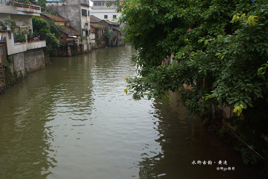 【水乡古韵·黄连摄影图片】顺德黄连生活摄影_太平洋