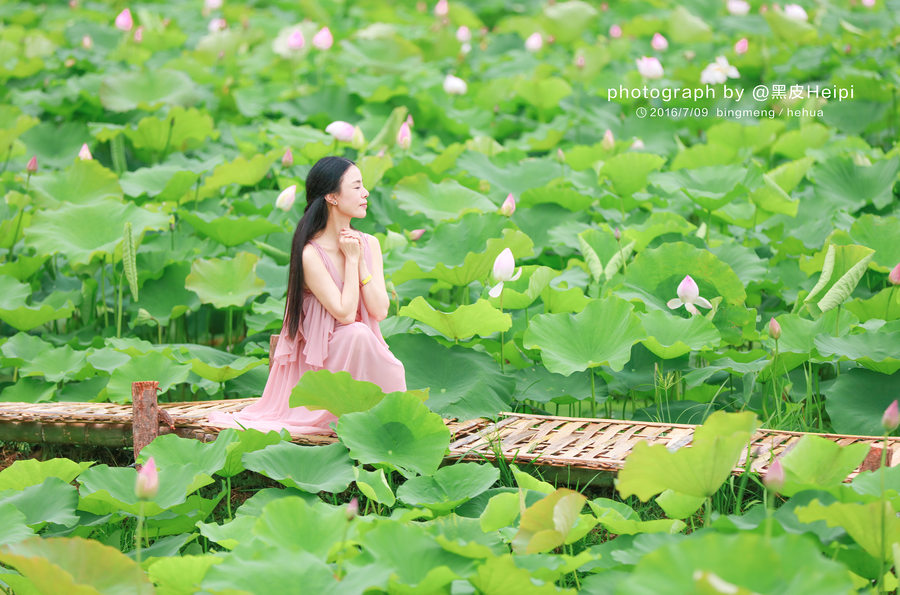 【荷花摄影图片】人像摄影_太平洋电脑网摄影部落