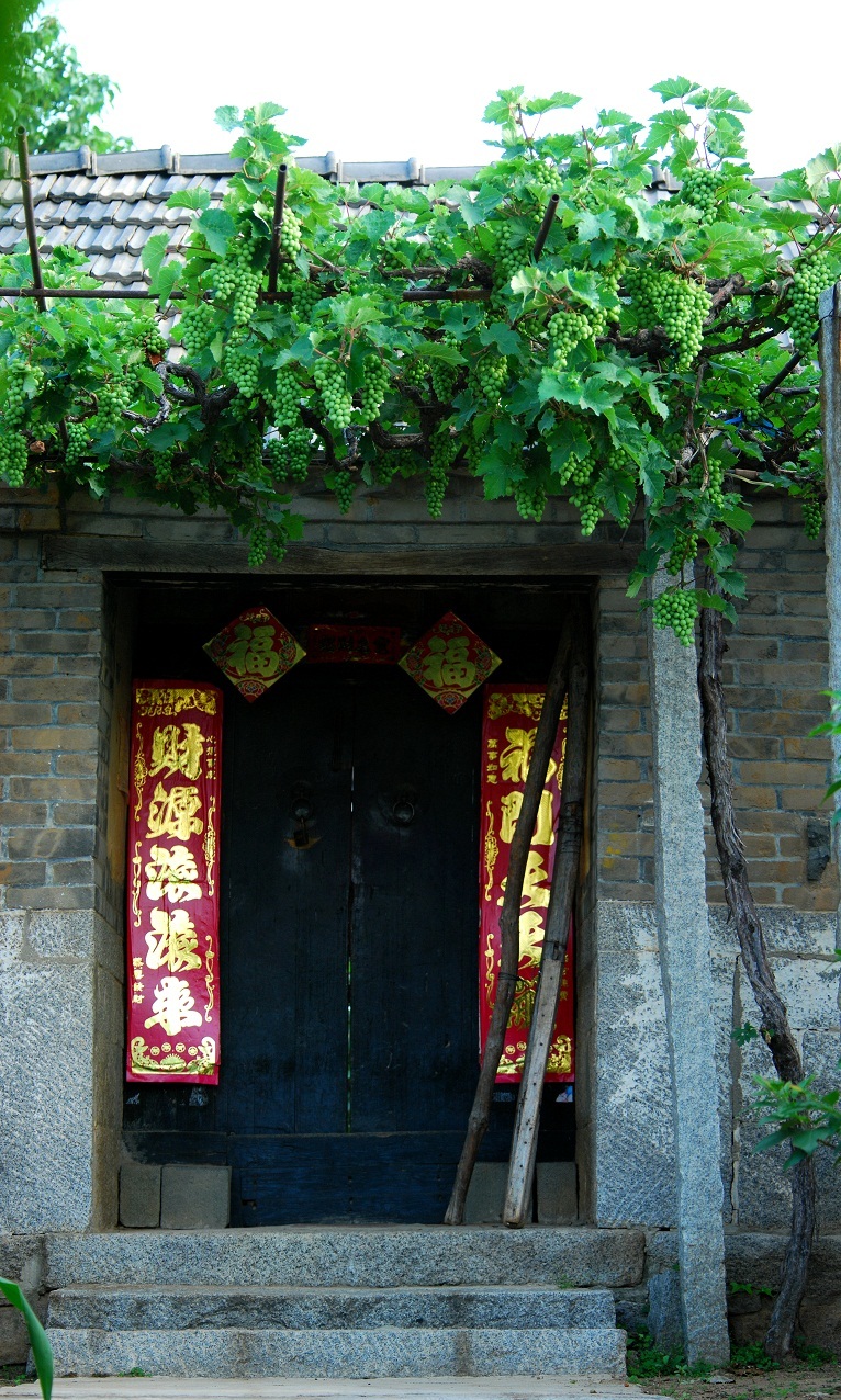 六度寺采风