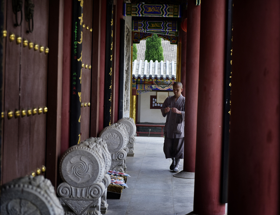 大唐玄奘--兴教寺