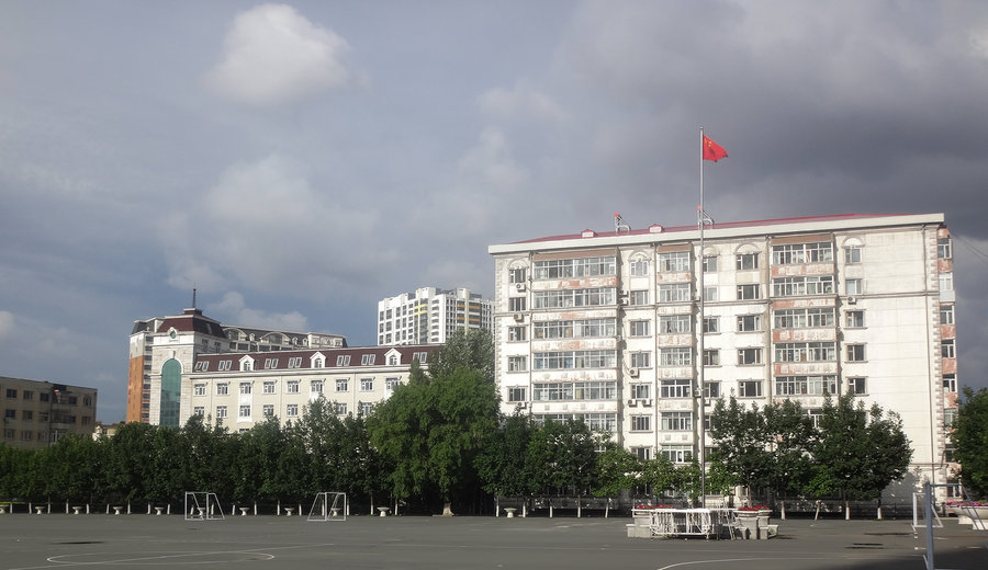 哈尔滨师范大学附属中学 (共p)