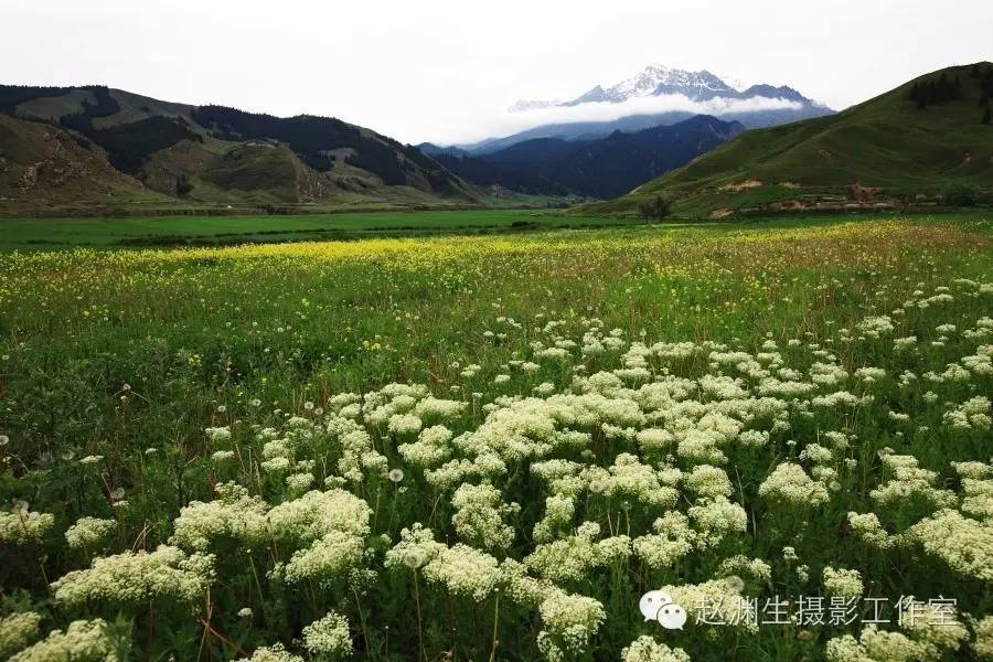 走进沙湾县画说鹿角湾