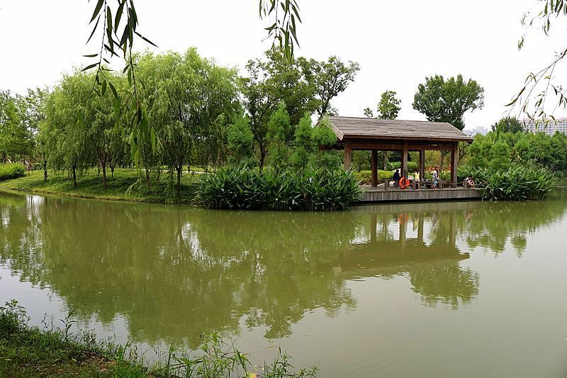 手机看图 作品简介 芦荡湖湿地公园  分享到:    朋友圈qq好友新浪