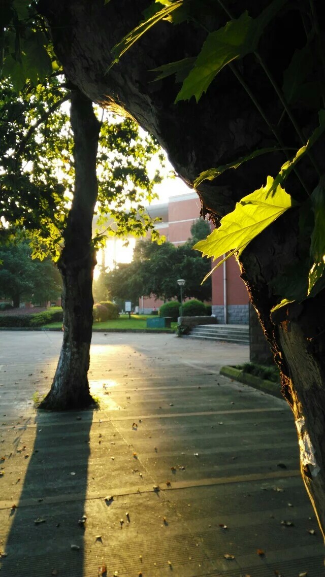 四川大学望江校区