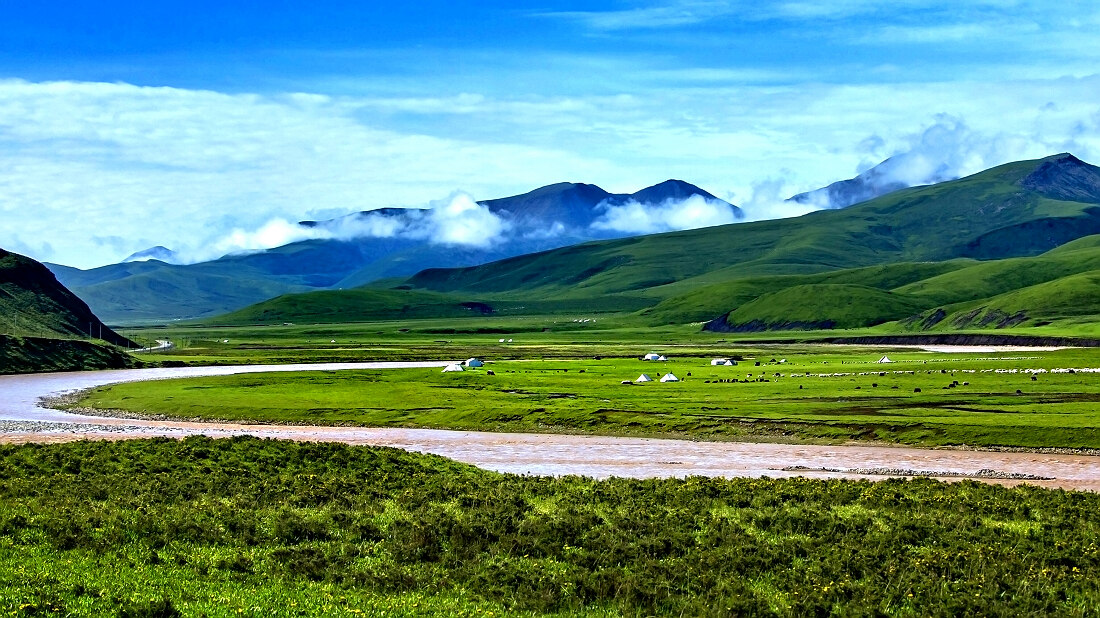 高原牧场
