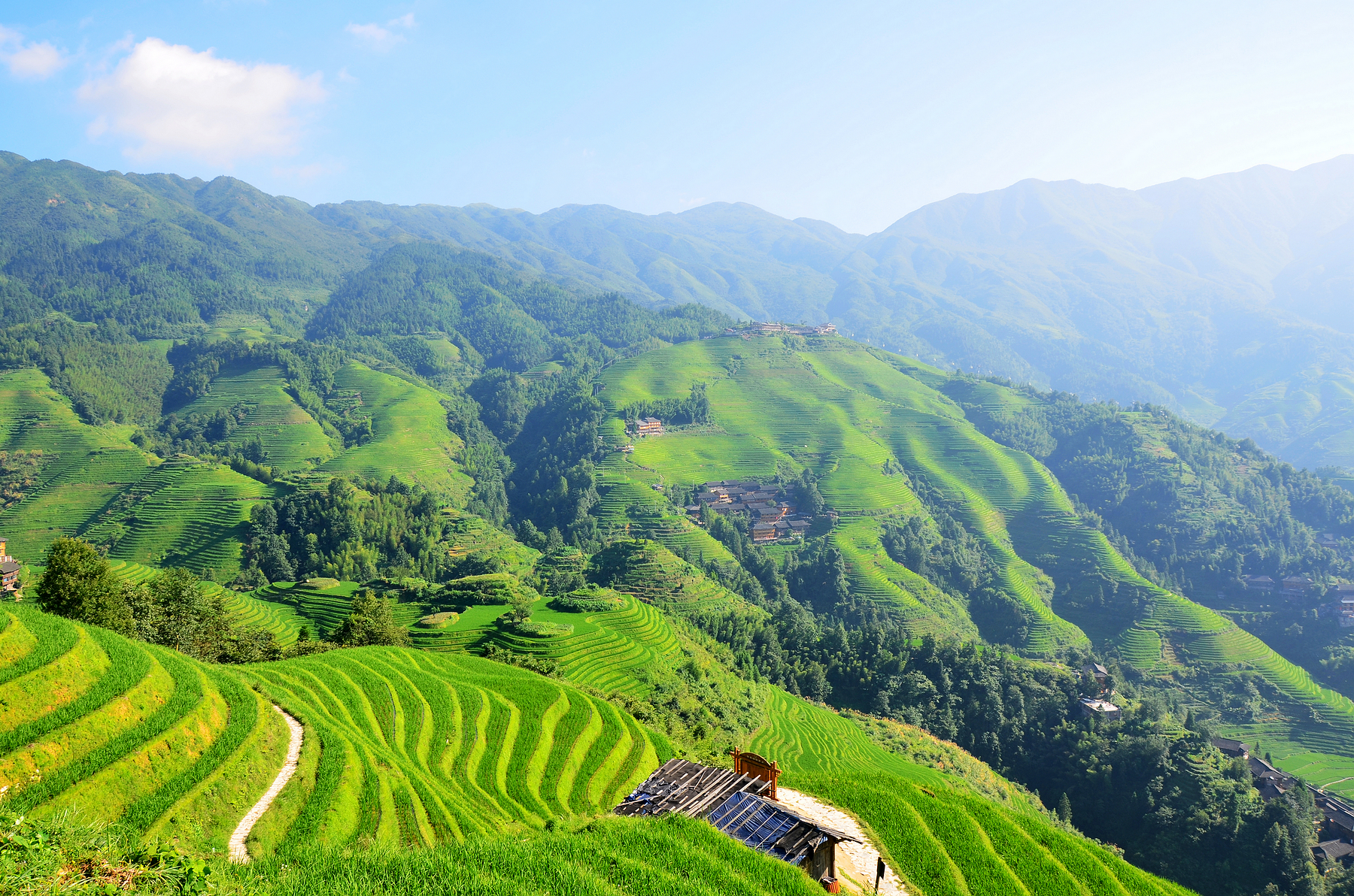 龙胜梯田