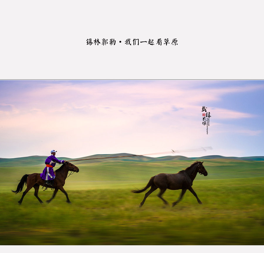【锡林郭勒-我们一起看草原摄影图片】风光旅