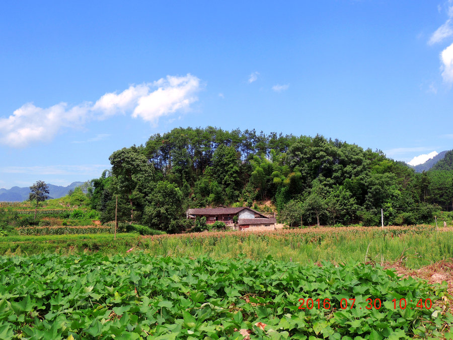 重庆秀山农村风景