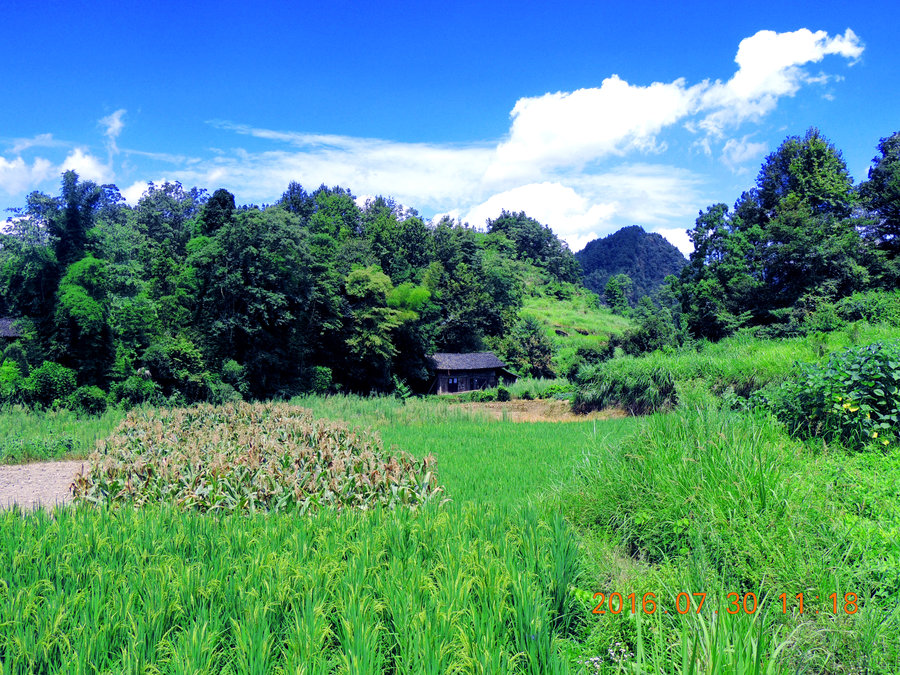 【重庆秀山农村风景摄影图片】风光旅游摄影