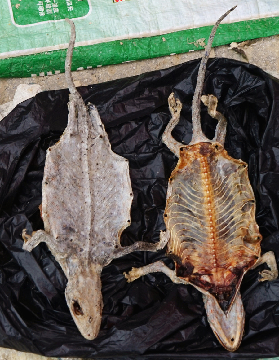 【靖西端午美食摄影图片】摄影生活街药市容桂富华图片
