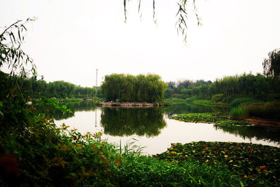 【人生忽如寄,就想和你在浞河虚度时光摄影图
