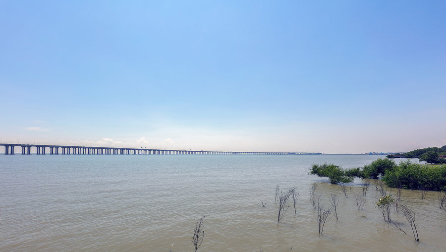 深圳宝安西湾红树林公园