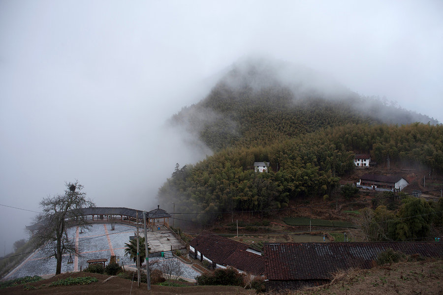 龙泉凤阳山