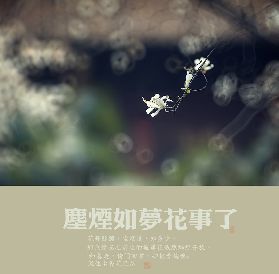 尘烟如梦花事了