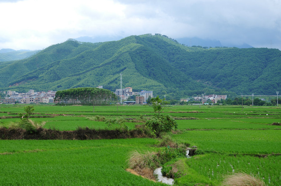 【身边的风景、心情的放松、摄影图片】生活摄