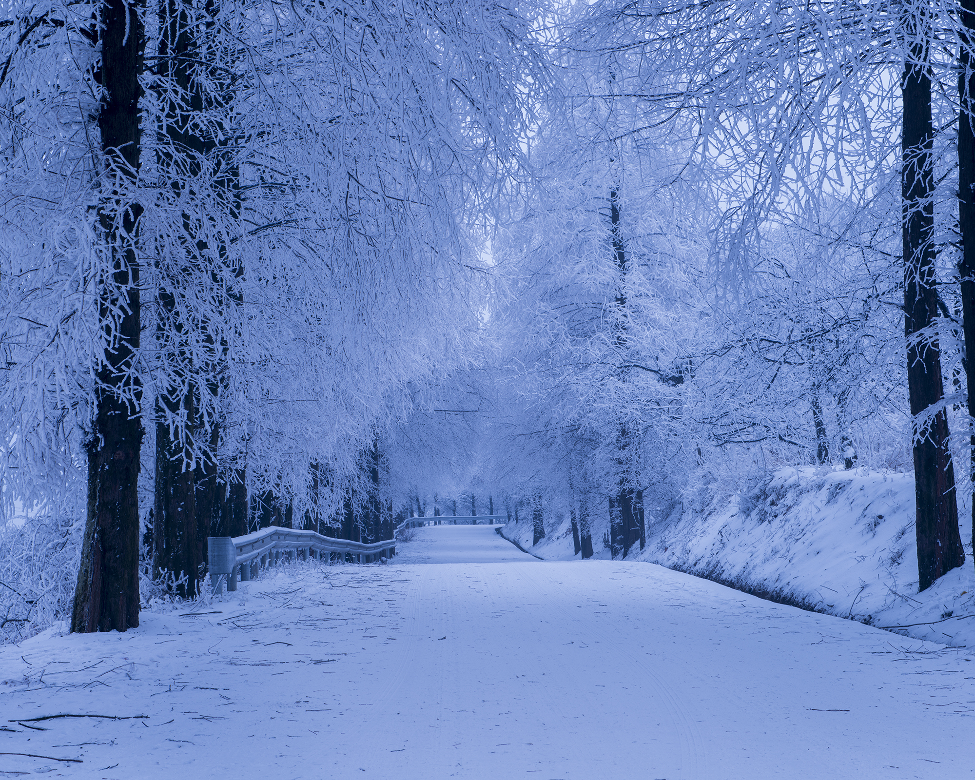 张家界 雪