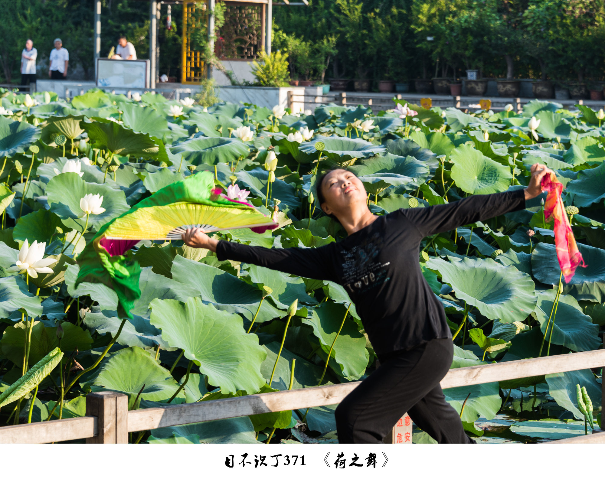 《发现身边之美》之一