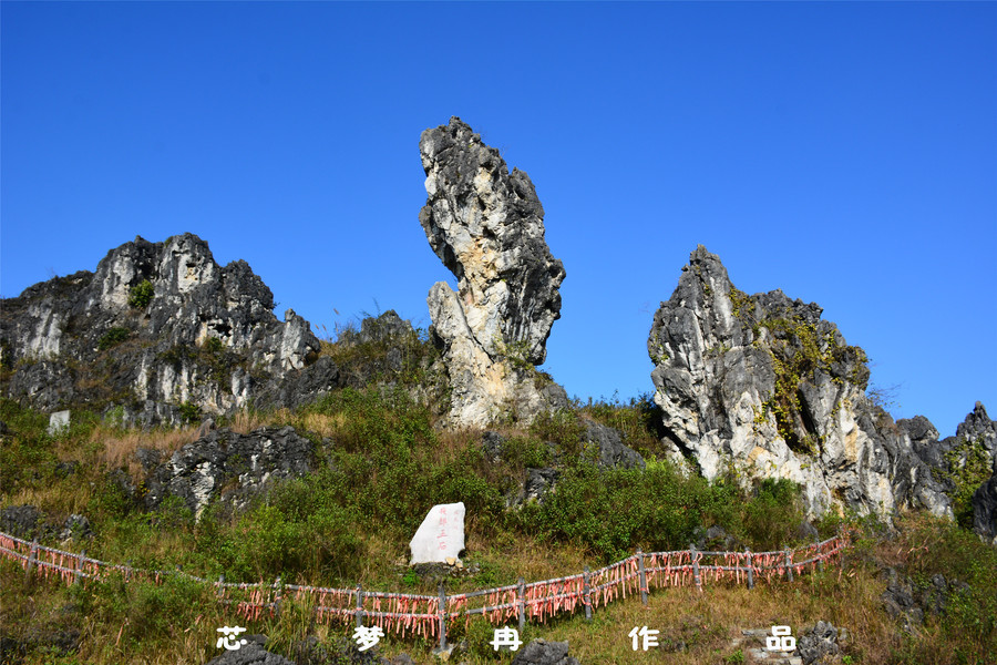 金州十八景之大地圣母(5/10)