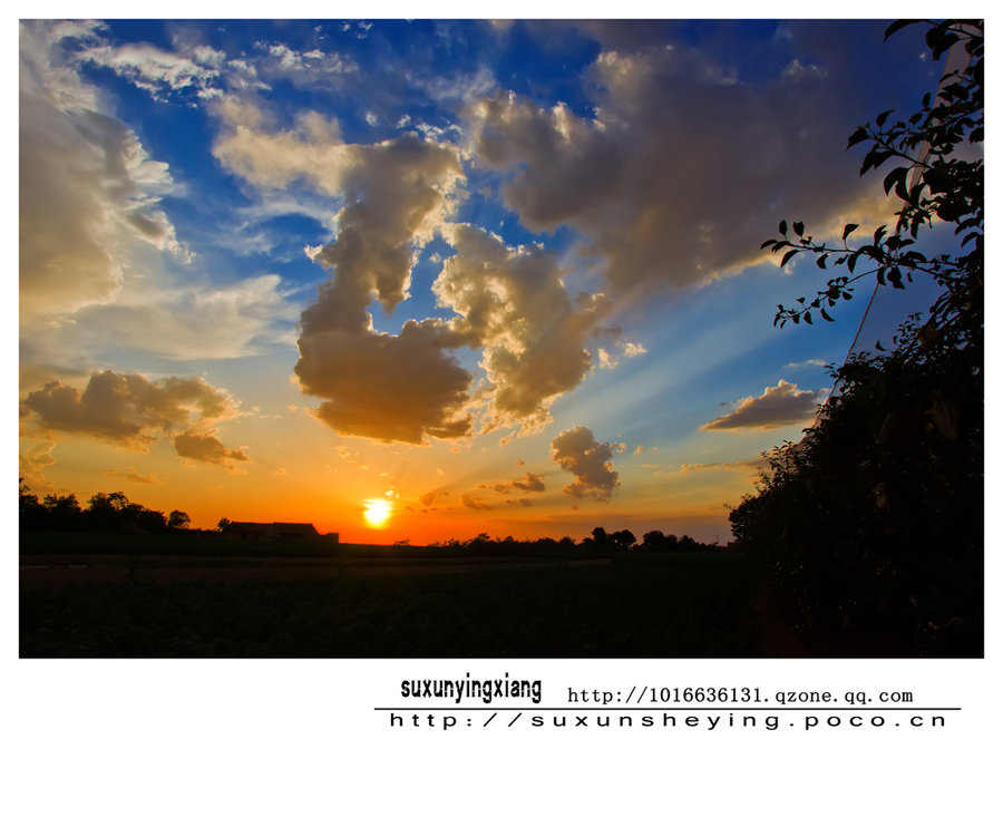 雨后夕阳