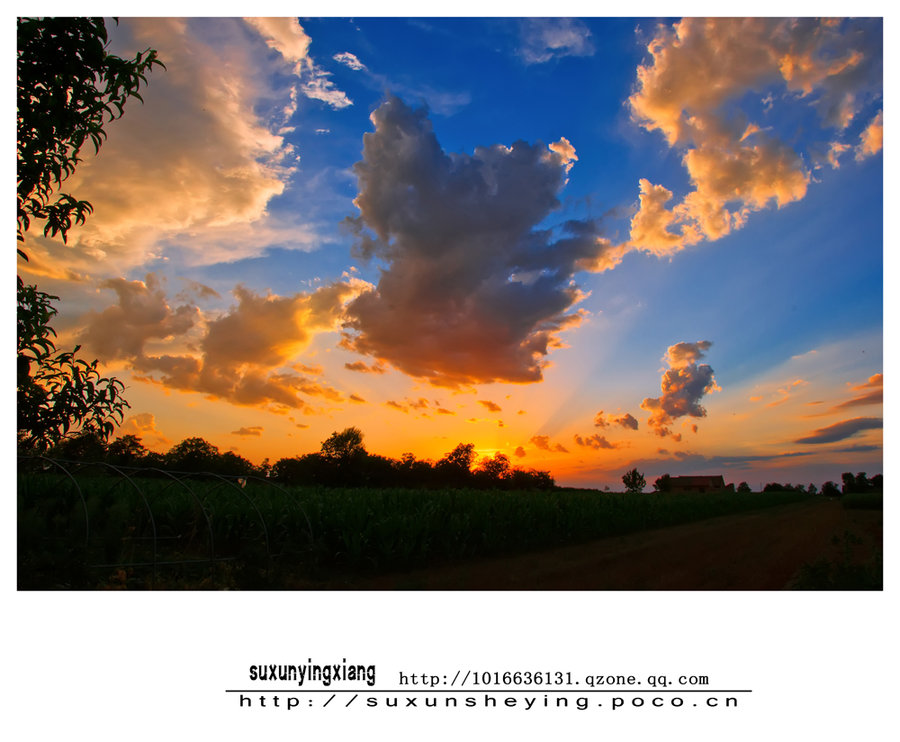 雨后夕阳