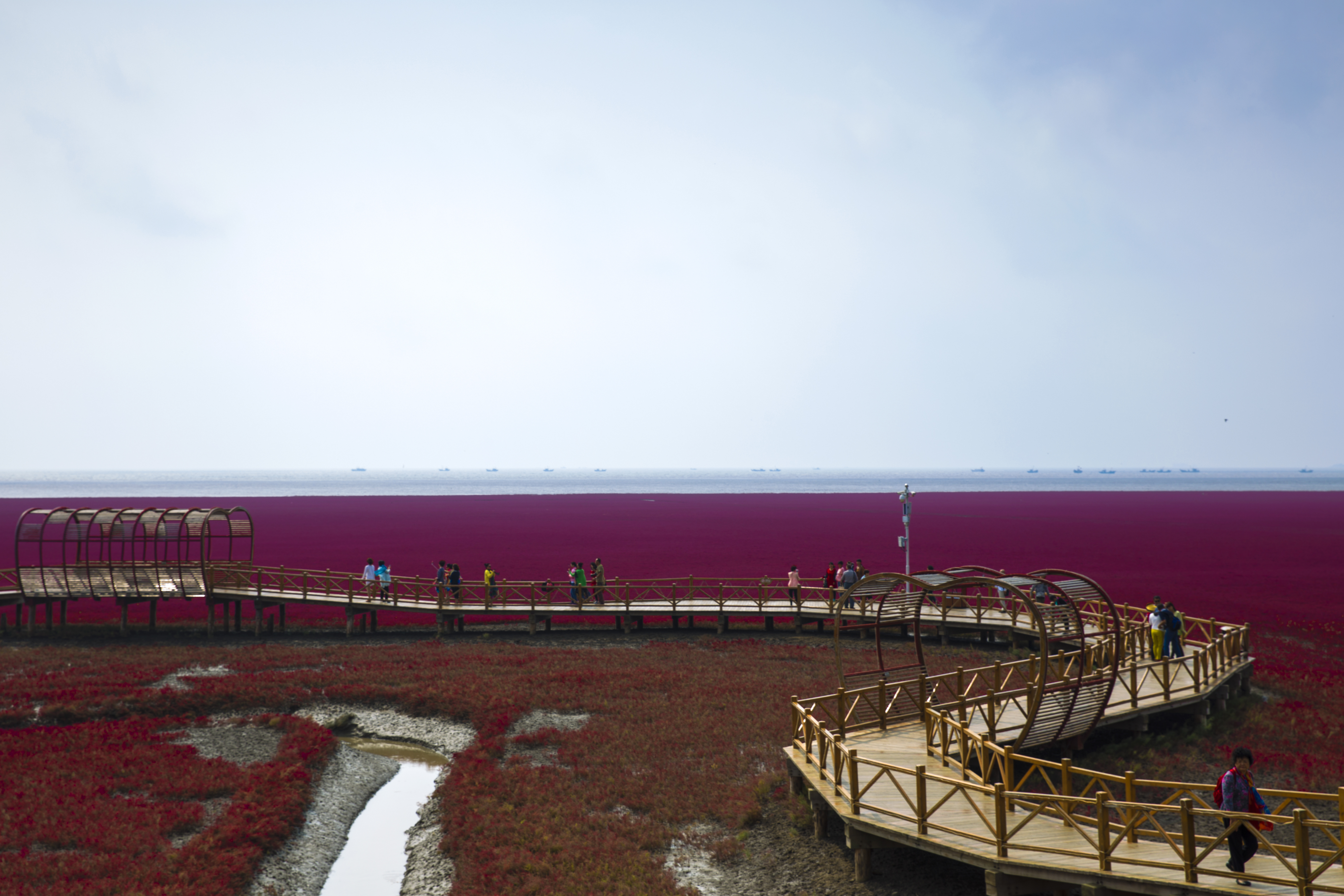 盘锦红海滩湿地公园