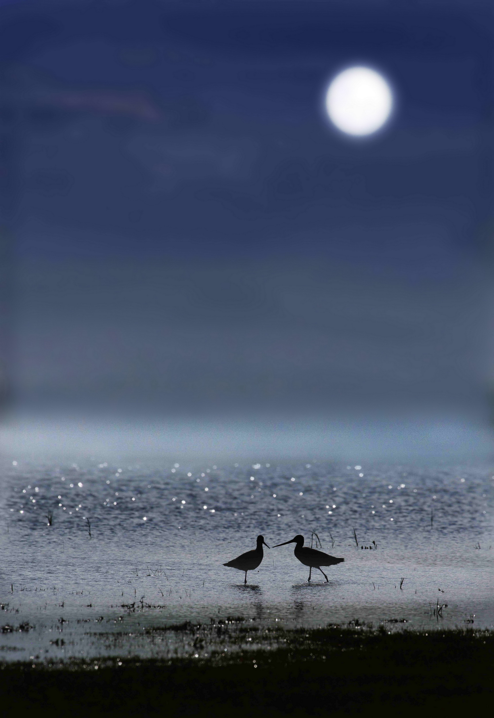 月夜私语