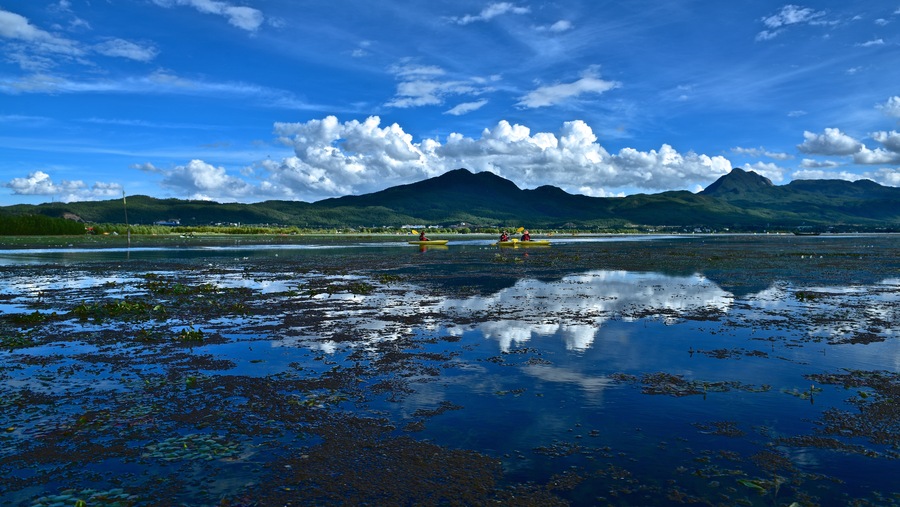 丽江拉市海风光