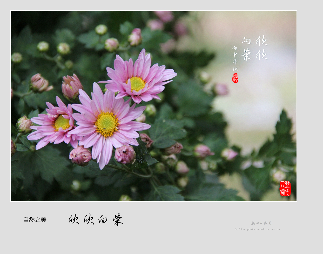 欣欣向荣