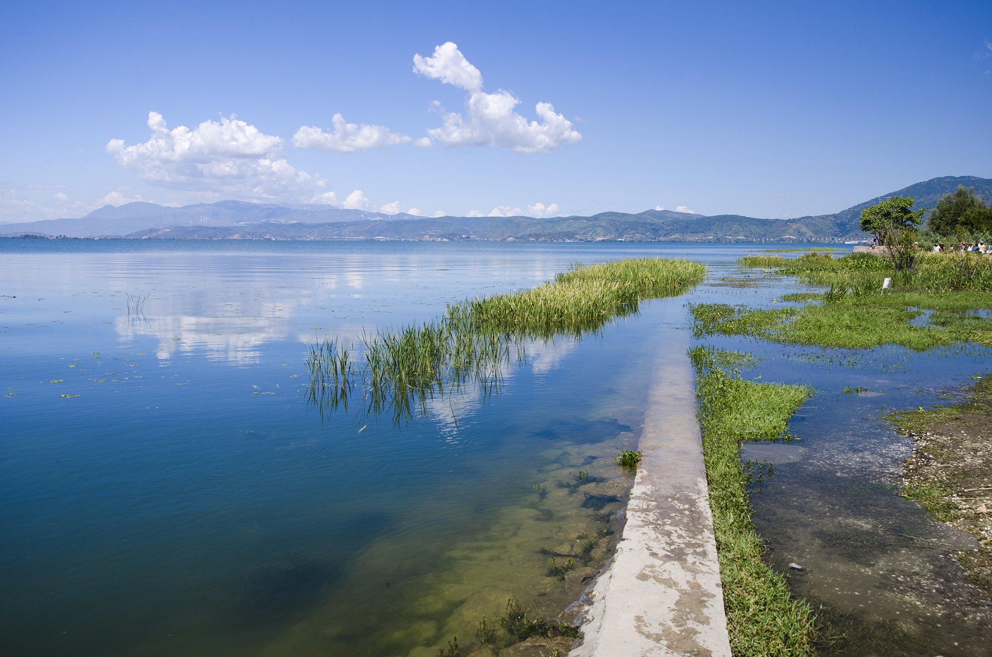 大理洱海之海舌生态公园