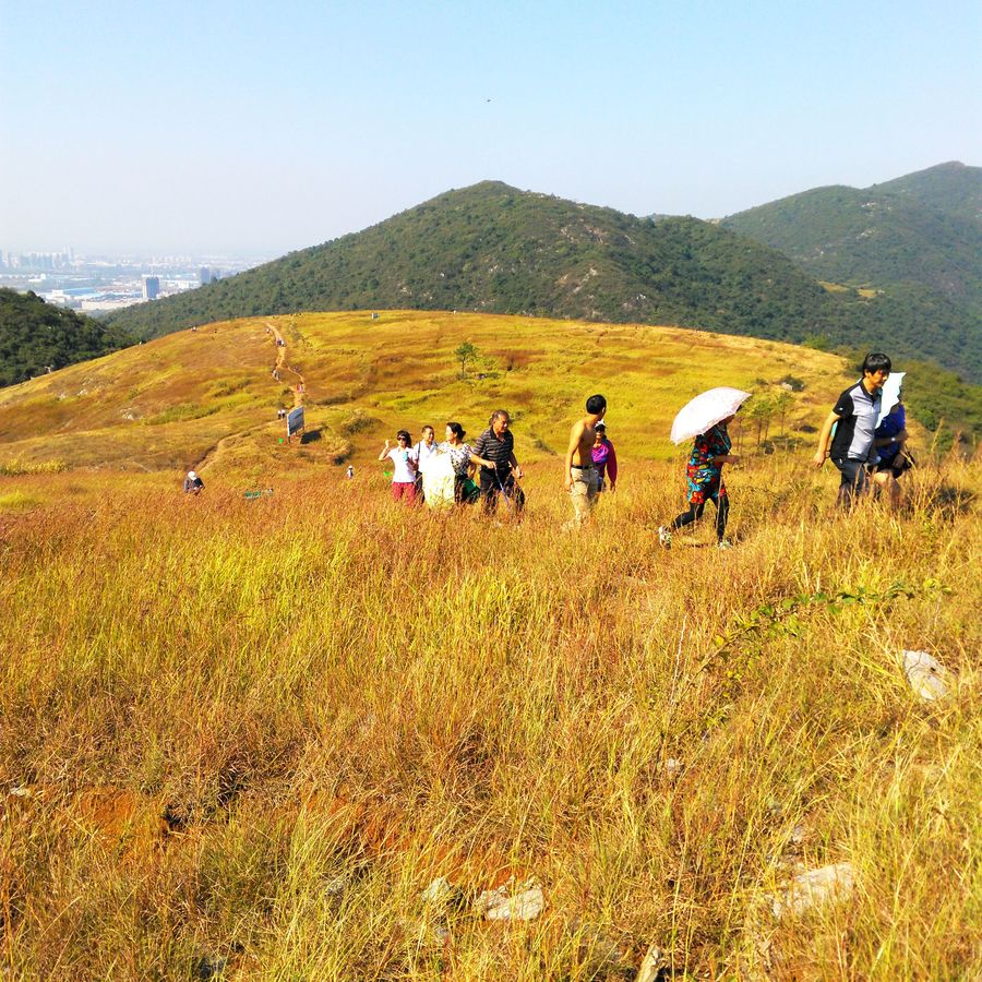 【漫步黄荆山草甸摄影图片】黄石风光摄影_太平洋电脑